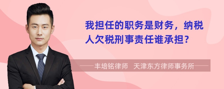 我担任的职务是财务，纳税人欠税刑事责任谁承担？