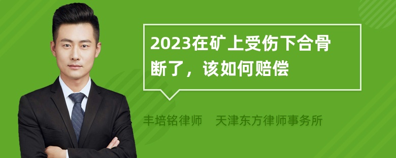 2023在矿上受伤下合骨断了，该如何赔偿