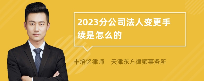 2023分公司法人变更手续是怎么的