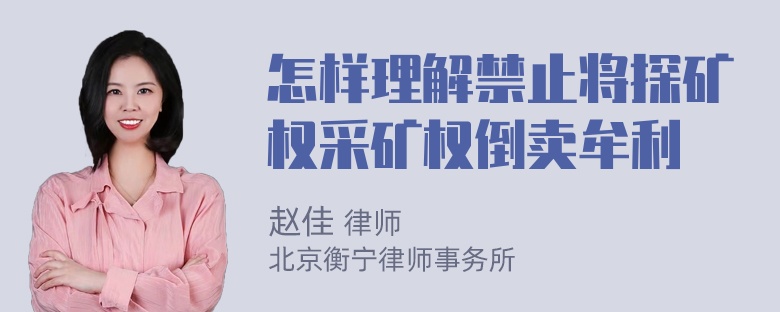 怎样理解禁止将探矿权采矿权倒卖牟利