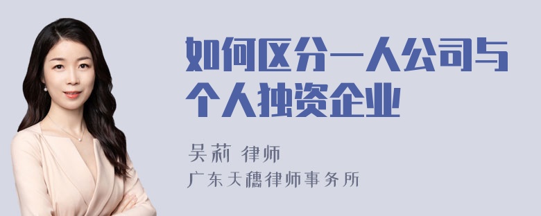 如何区分一人公司与个人独资企业