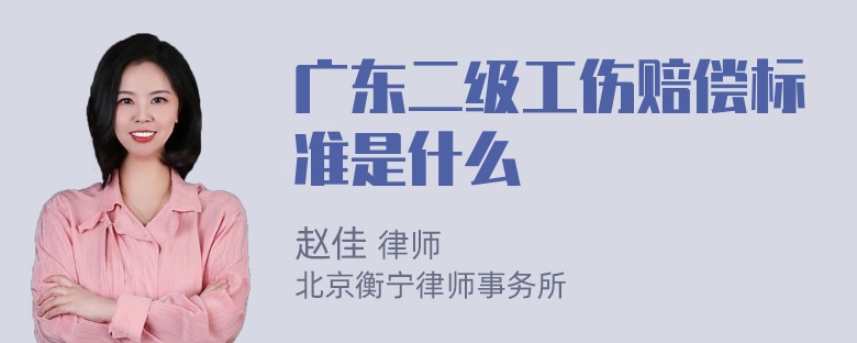 广东二级工伤赔偿标准是什么