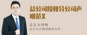 总公司授权分公司声明范X