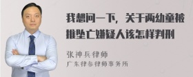 我想问一下，关于两幼童被推坠亡嫌疑人该怎样判刑