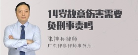 14岁故意伤害需要负刑事责吗