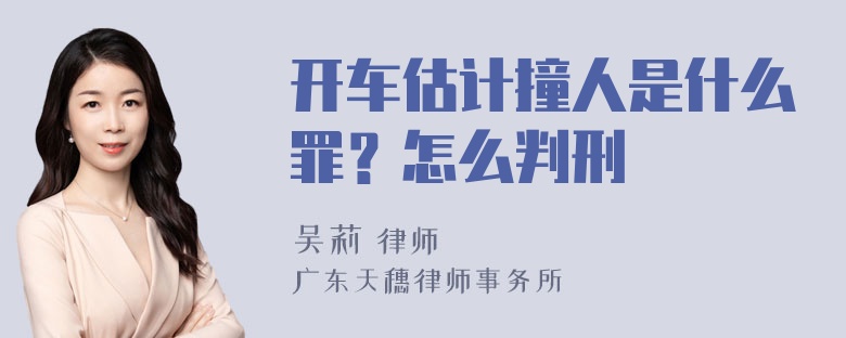 开车估计撞人是什么罪？怎么判刑