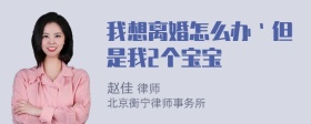 我想离婚怎么办｀但是我2个宝宝