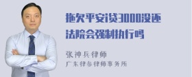 拖欠平安i贷3000没还法院会强制执行吗