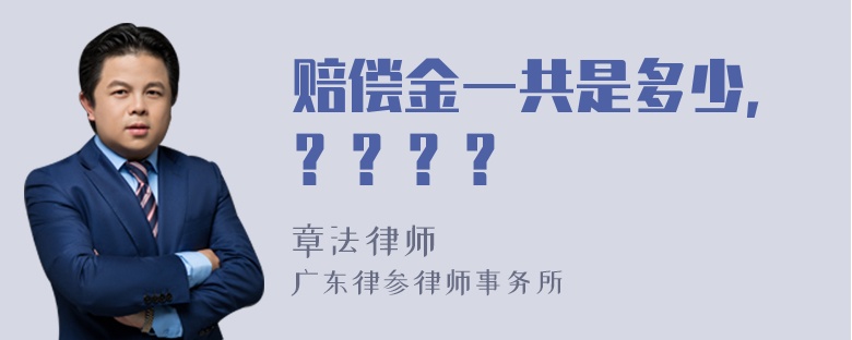 赔偿金一共是多少，？？？？