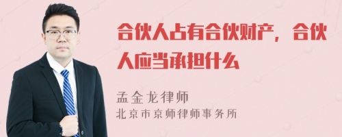 合伙人占有合伙财产，合伙人应当承担什么