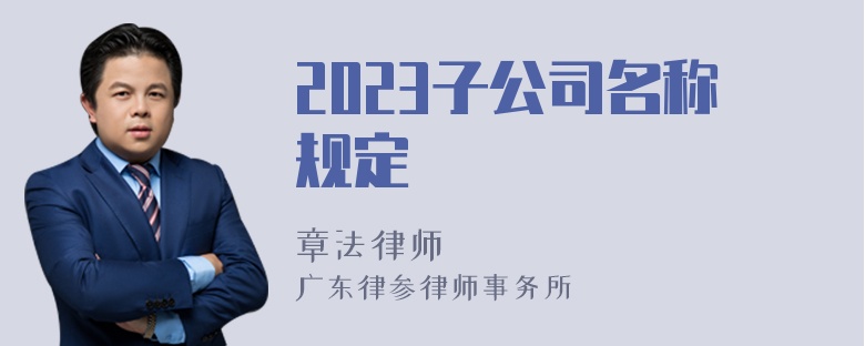 2023子公司名称规定