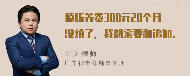 原抚养费300元20个月没给了，我想索要和追加。