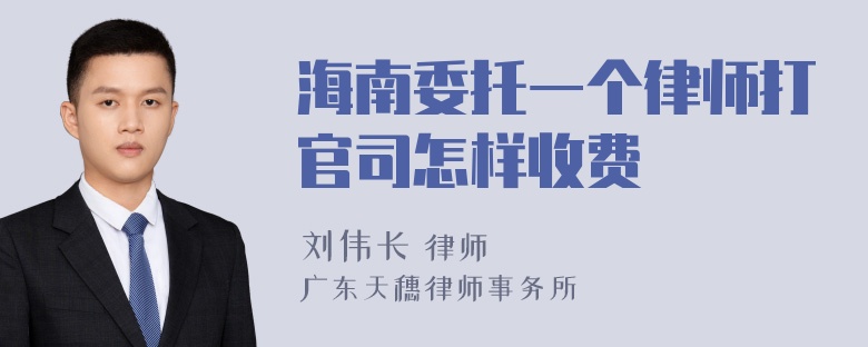 海南委托一个律师打官司怎样收费