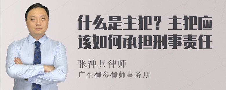 什么是主犯？主犯应该如何承担刑事责任