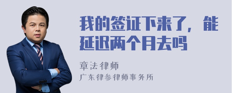 我的签证下来了，能延迟两个月去吗