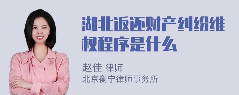 湖北返还财产纠纷维权程序是什么