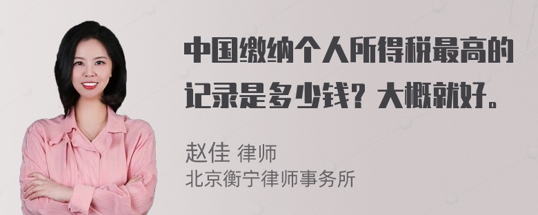 中国缴纳个人所得税最高的记录是多少钱？大概就好。