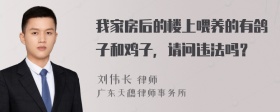 我家房后的楼上喂养的有鸽子和鸡子，请问违法吗？