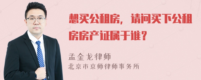 想买公租房，请问买下公租房房产证属于谁？
