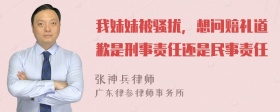 我妹妹被骚扰，想问赔礼道歉是刑事责任还是民事责任