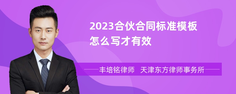 2023合伙合同标准模板怎么写才有效