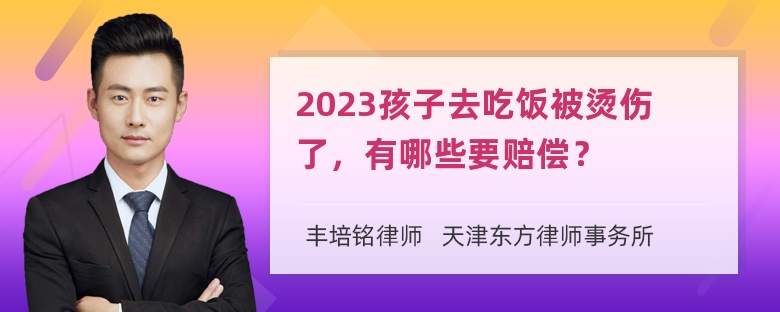 2023孩子去吃饭被烫伤了，有哪些要赔偿？