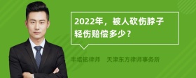 2022年，被人砍伤脖子轻伤赔偿多少？