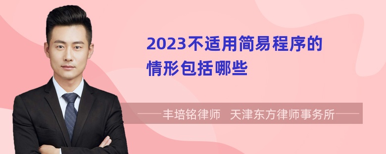 2023不适用简易程序的情形包括哪些