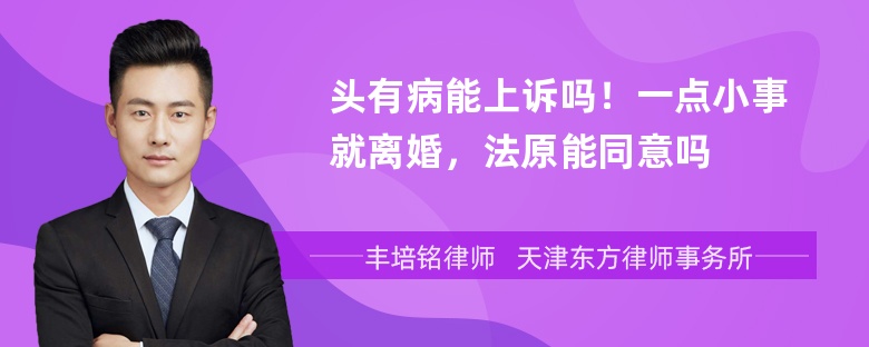 头有病能上诉吗！一点小事就离婚，法原能同意吗