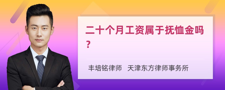 二十个月工资属于抚恤金吗？