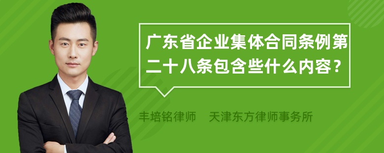 广东省企业集体合同条例第二十八条包含些什么内容？