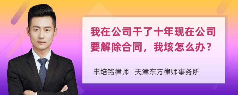 我在公司干了十年现在公司要解除合同，我垓怎么办？