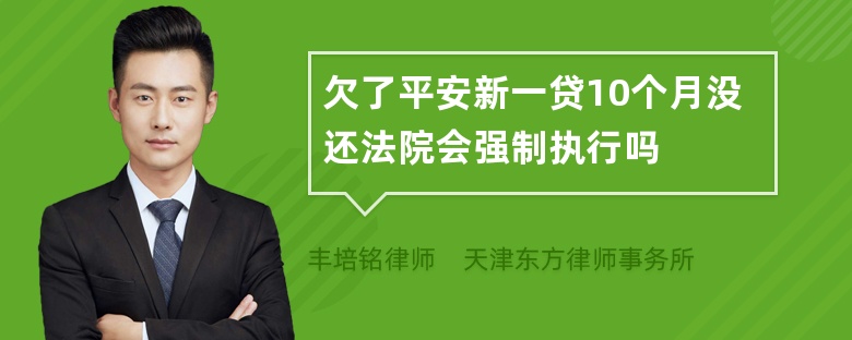 欠了平安新一贷10个月没还法院会强制执行吗