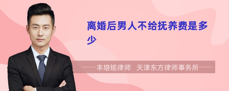 离婚后男人不给抚养费是多少