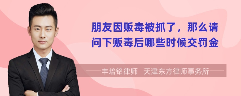 朋友因贩毒被抓了，那么请问下贩毒后哪些时候交罚金