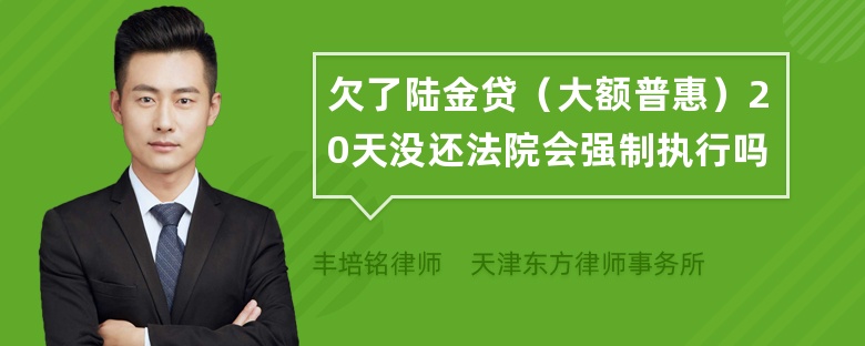 欠了陆金贷（大额普惠）20天没还法院会强制执行吗