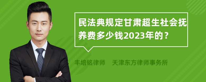 民法典规定甘肃超生社会抚养费多少钱2023年的？