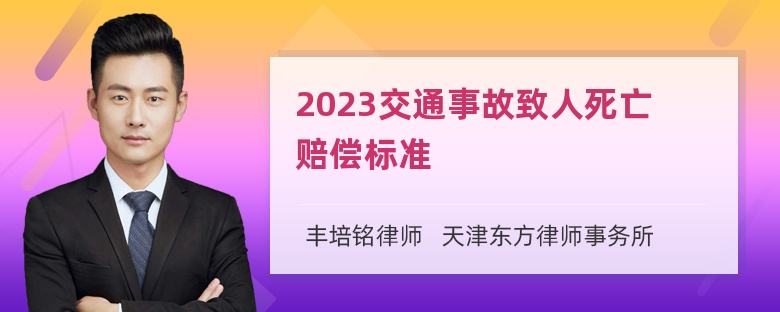 2023交通事故致人死亡赔偿标准