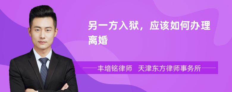 另一方入狱，应该如何办理离婚