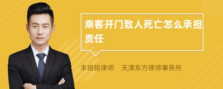 乘客开门致人死亡怎么承担责任