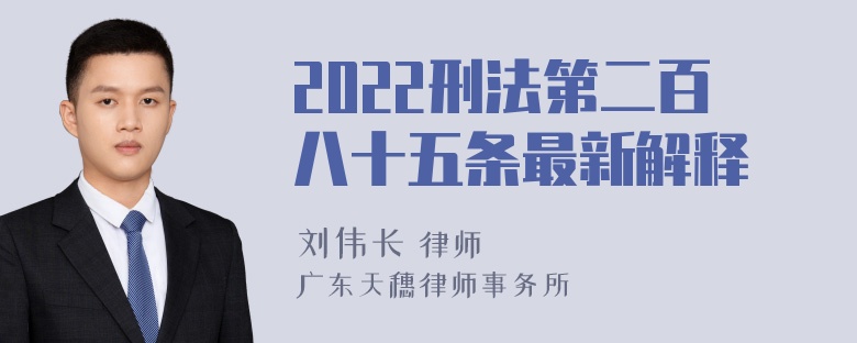 2022刑法第二百八十五条最新解释