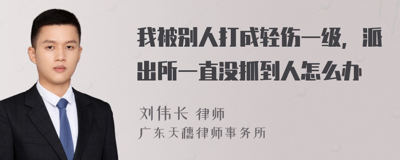 我被别人打成轻伤一级，派出所一直没抓到人怎么办