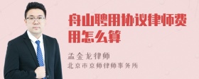 舟山聘用协议律师费用怎么算