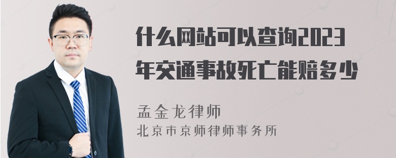 什么网站可以查询2023年交通事故死亡能赔多少