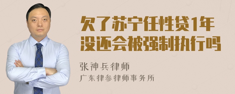 欠了苏宁任性贷1年没还会被强制执行吗