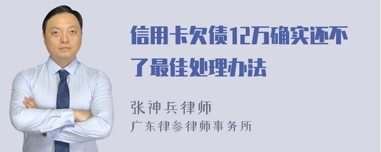 信用卡欠债12万确实还不了最佳处理办法