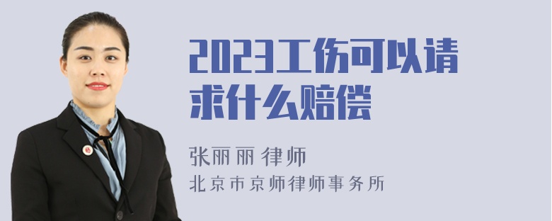 2023工伤可以请求什么赔偿