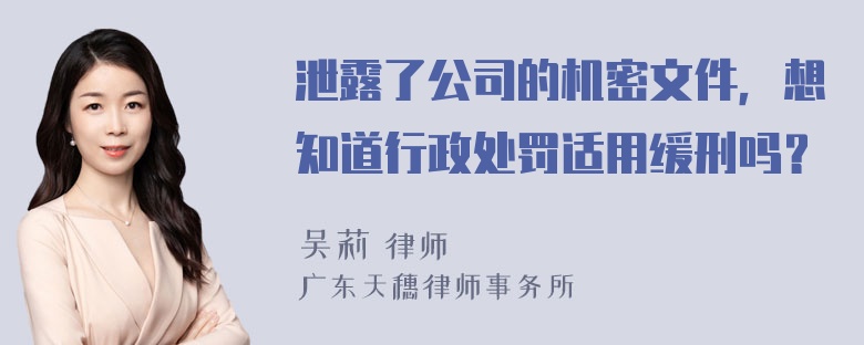 泄露了公司的机密文件，想知道行政处罚适用缓刑吗？