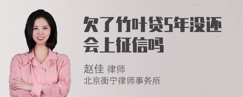 欠了竹叶贷5年没还会上征信吗