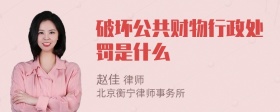 破坏公共财物行政处罚是什么